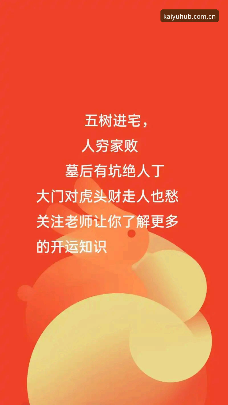 kaiyun体育首页改版操作教程：从界面适应到功能避坑的三个关键要点